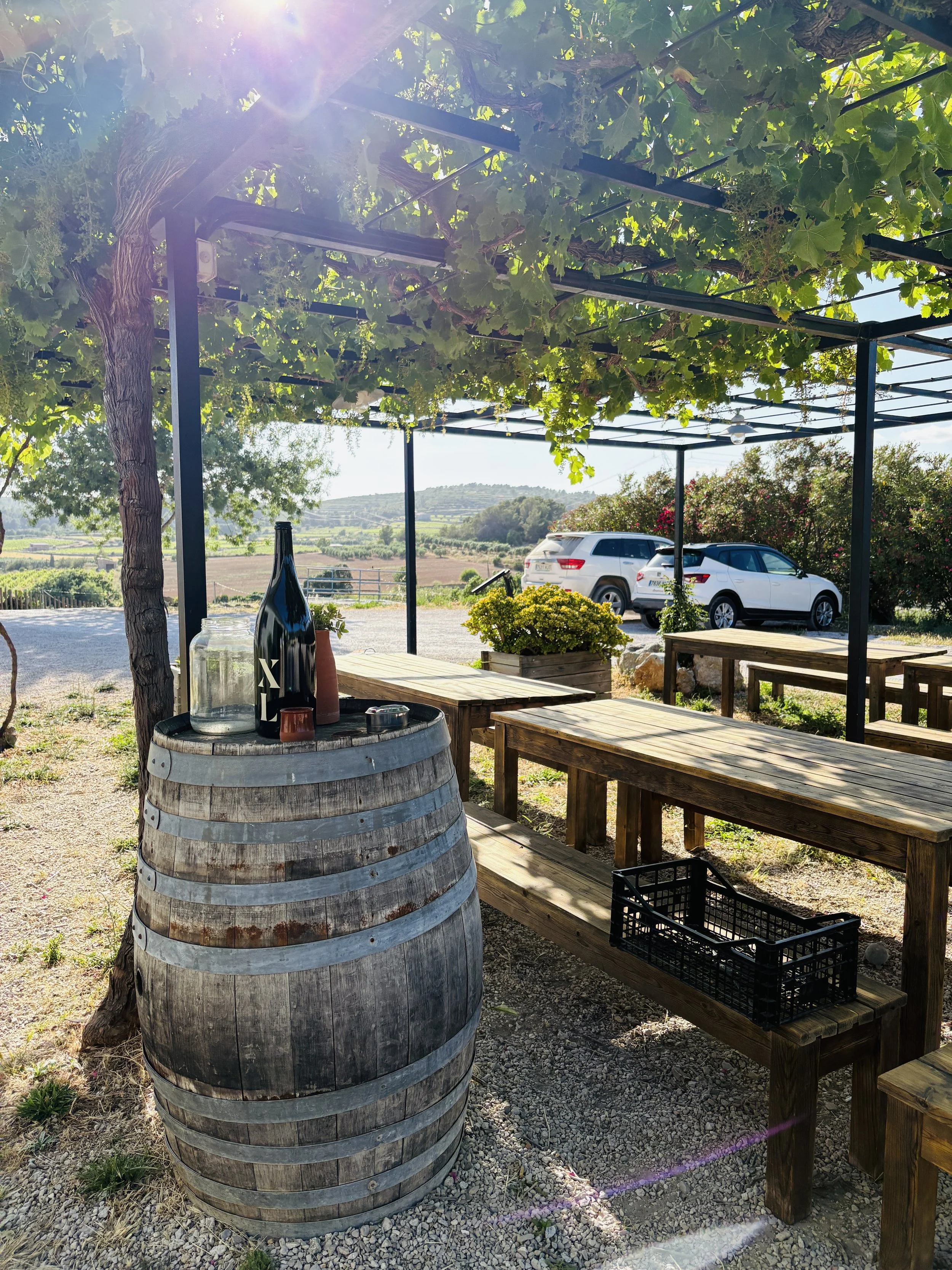 PARTIDA CREUS TASTING OUTSIDE.jpg