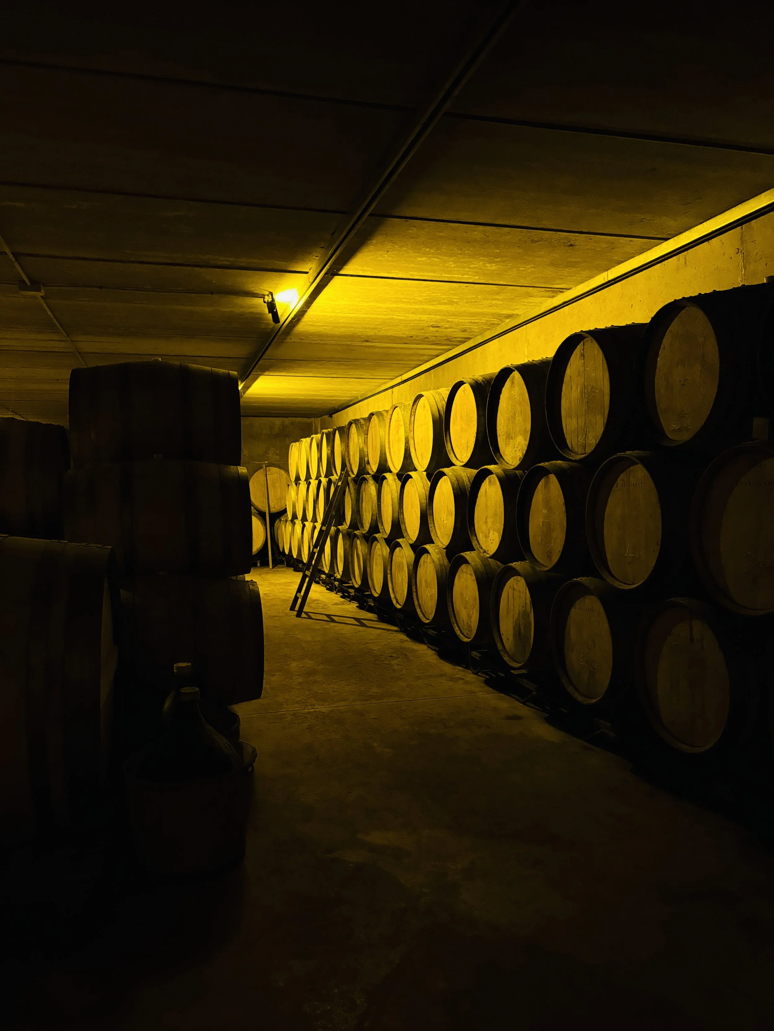 PARTIDA CREUS BARREL ROOM.jpg