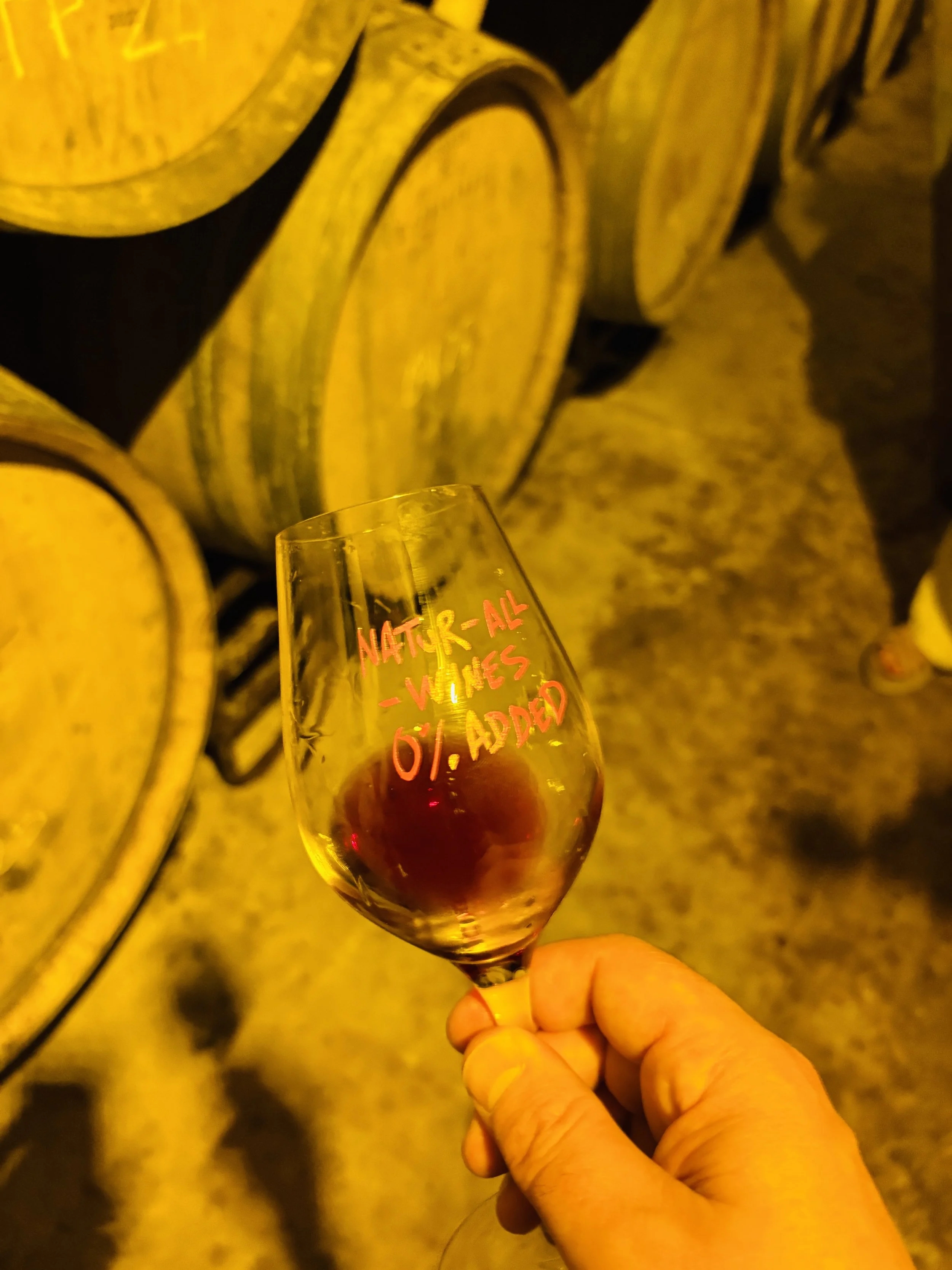 PARTIDA CREUS TASTING IN THE CELLAR.jpg