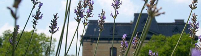postcardsm_03.jpg