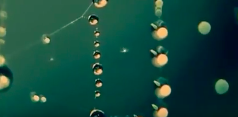 Screen Shot 2016-08-15 at 12.37.52 PM.png