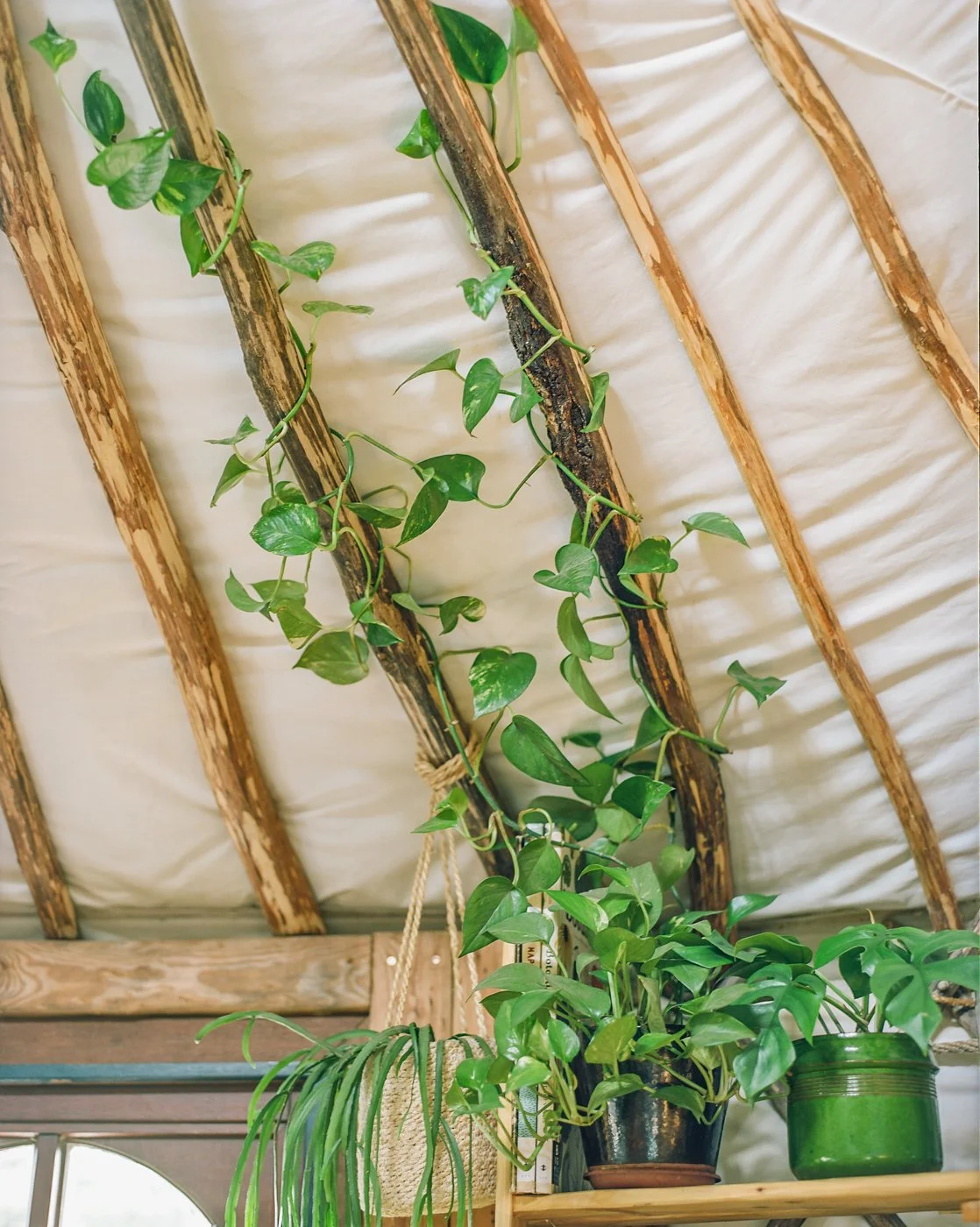 Bianca en Daniel door Eva Donckers82380010.jpg