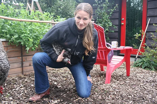 foodbuzz 24x24 beyond the eggs: culling and cooking your urban hens