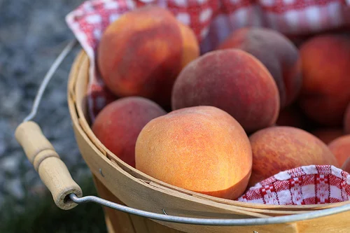home canning: bourbon peaches (a little booze with my yogurt is the perfect way to start the day)
