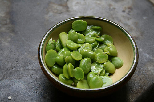 fava beans www.talkoftomatoes.com