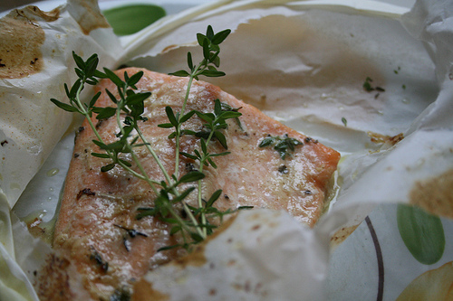 salmon in parchment