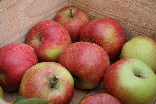 apples