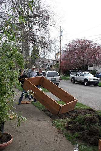 garden box