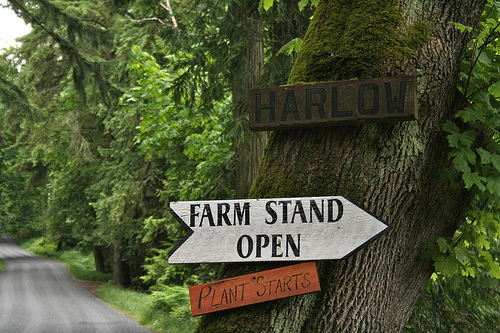 farm stand sign