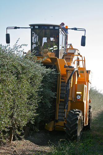 harvester