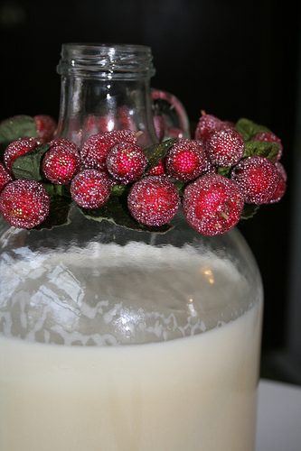 eggnog recipe | talkoftomatoes.com
