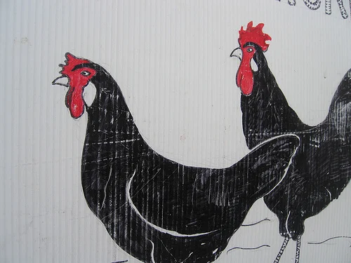 painted chicken www.talkoftomatoes.com