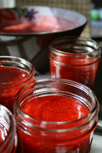 strawberry freezer jelly www.talkoftomatoes.com