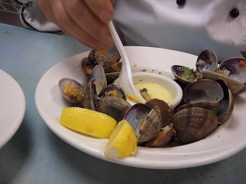 clams