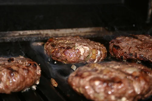 elk burger
