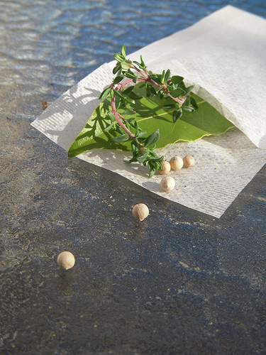 herb sachet