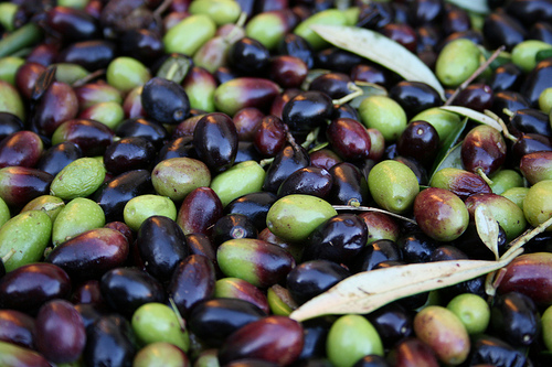olives www.talkoftomatoes.com