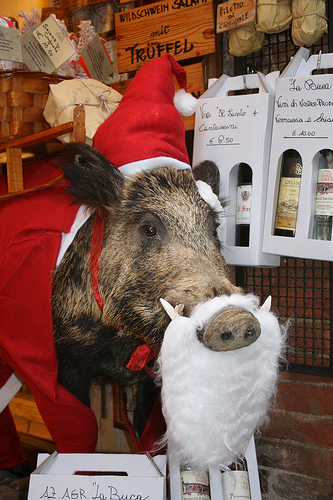 santa wild boar