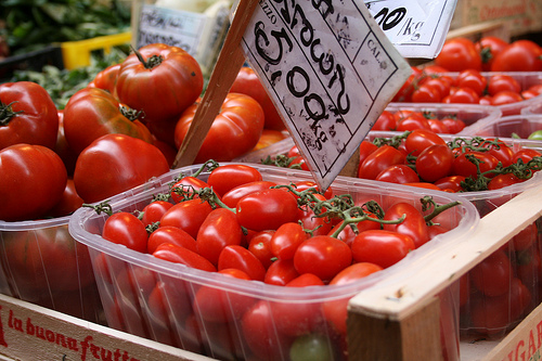 san marzano www.talkoftomatoes.com