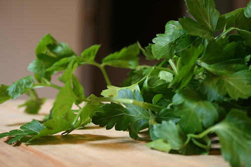 parsley www.talkoftomatoes.com