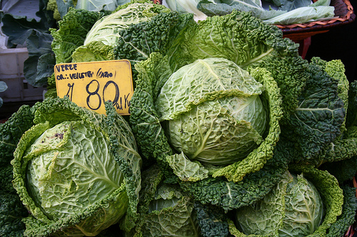 cabbage www.talkoftomatoes.com