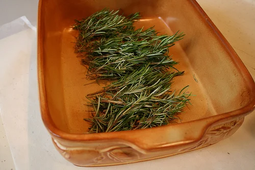 rosemary www.talkoftomatoes.com
