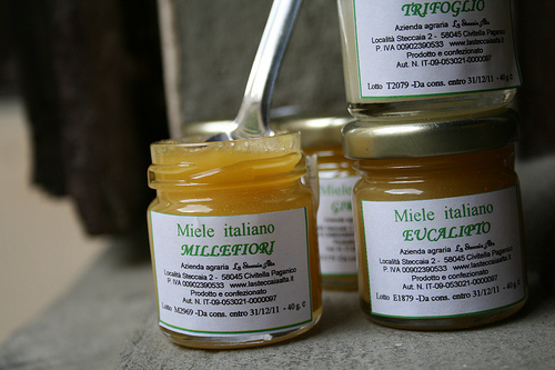 honey www.talkoftomatoes.com
