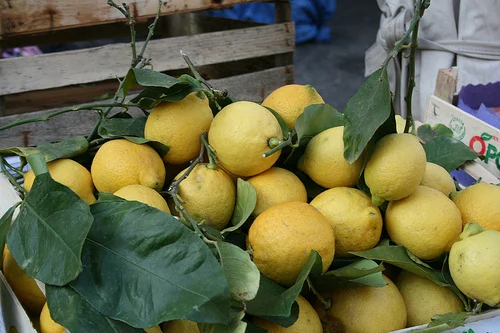 lemons