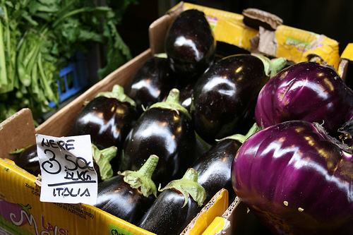 eggplant www.talkoftomatoes.com