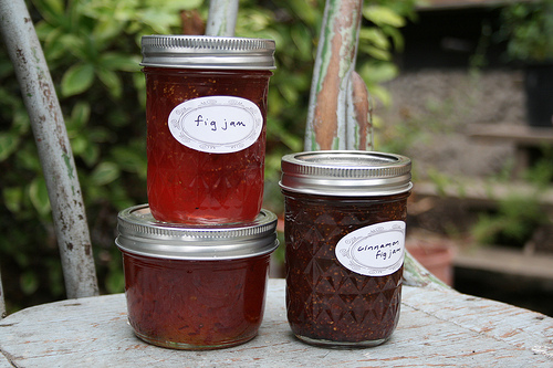 fig jam