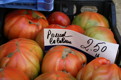 italian tomatoes