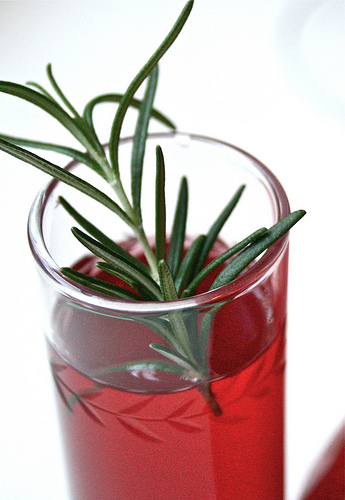 pomegranate martini recipe | talkoftomatoes.com