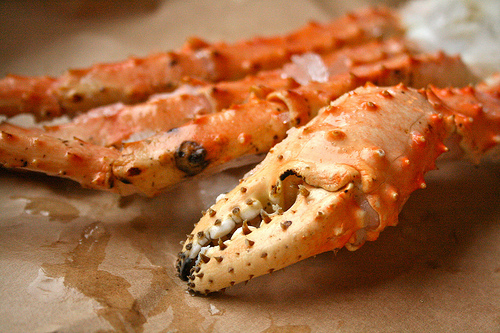 crab claw