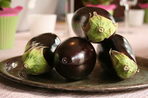 eggplants www.talkoftomatoes.com