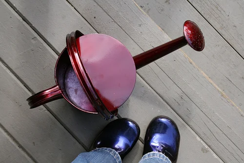 red watering can www.talkoftomatoes.com