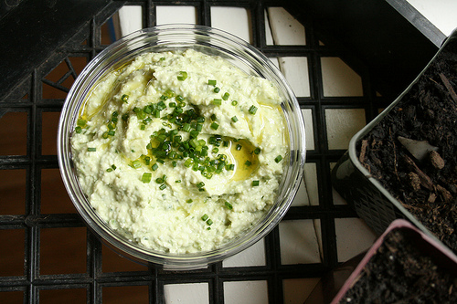 cheese spread