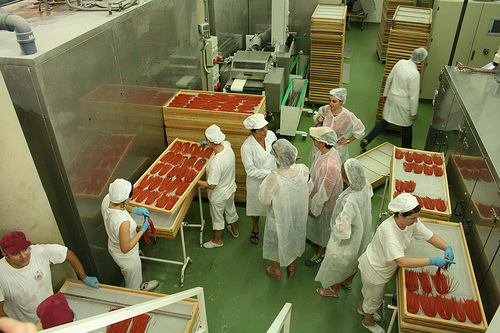 pasta factory www.talkoftomatoes.com