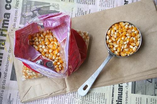 popcorn kernels |talkoftomatoes.com