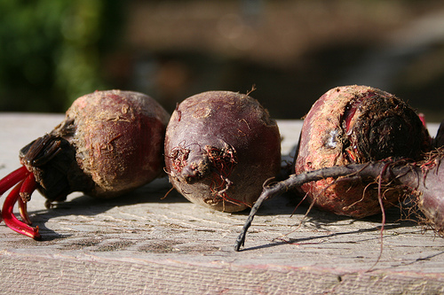 beets www.talkoftomatoes.com