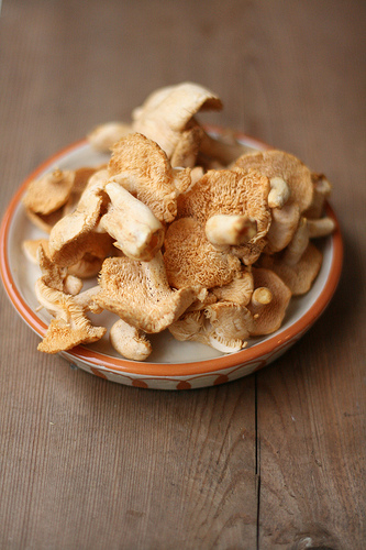 chanterelles www.talkoftomatoes.com