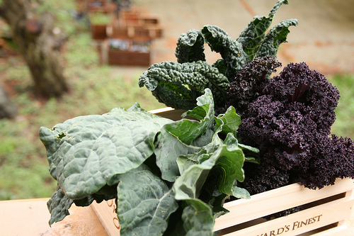 kale