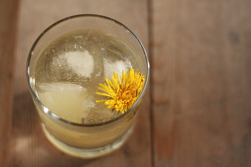 dandelion cocktail