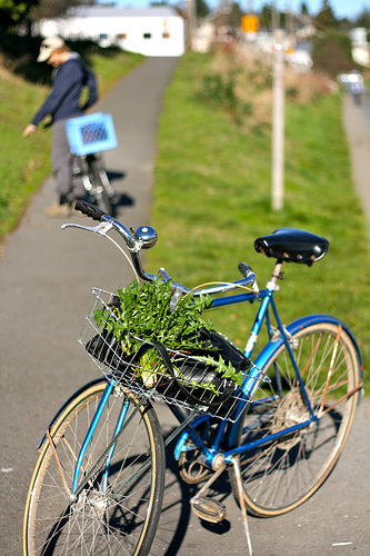 bike