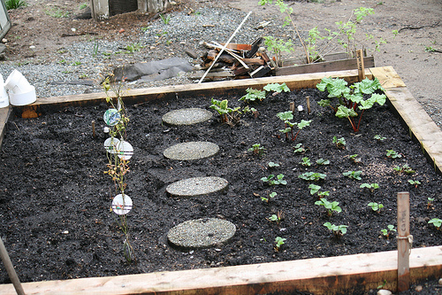 garden box