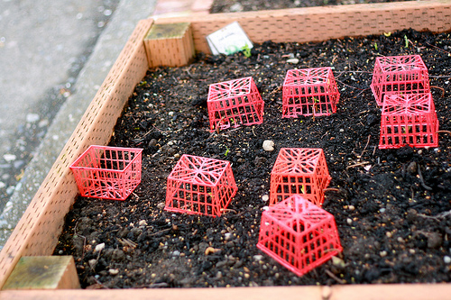 gardening