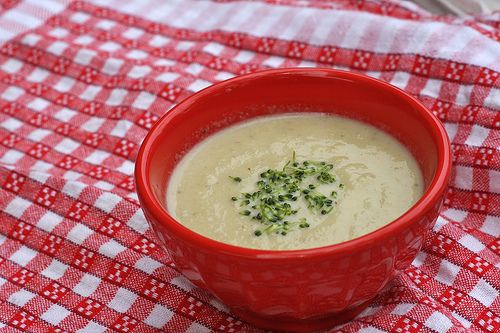 cheddar and broccoli soup recipe www.talkoftomatoes.com