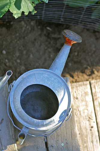 watering can www.talkoftomatoes.com