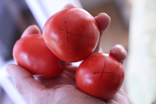 blanching tomatoes www.talkoftomatoes.com