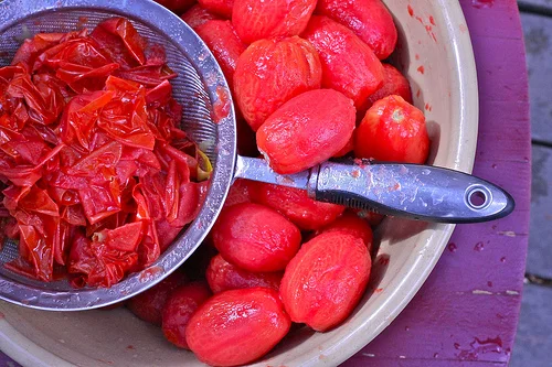 peeling tomatoes www.talkoftomatoes.com