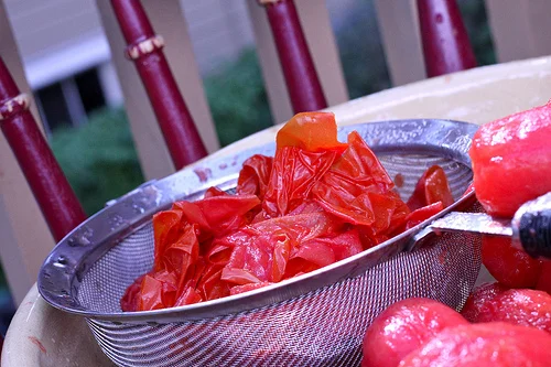 peeling tomatoes www.talkoftomatoes.com